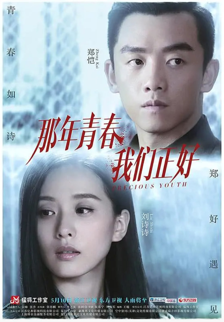 那年青春我们正好封面