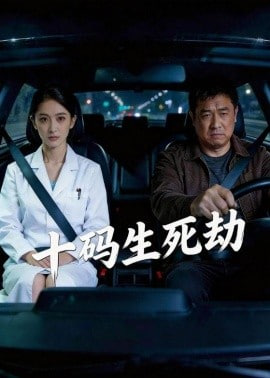 十码生死劫封面