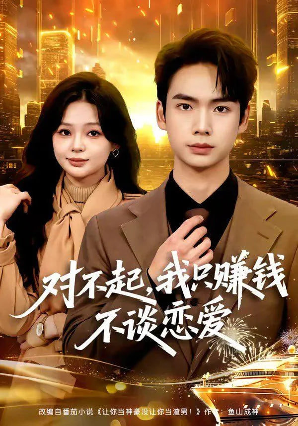 对不起，我只赚钱不谈恋爱封面
