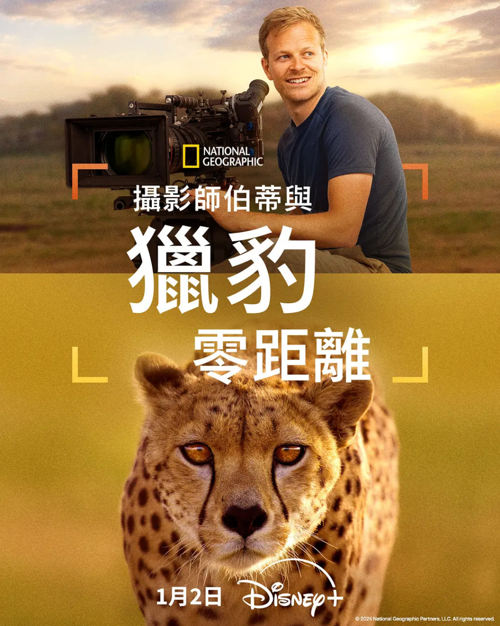 摄影师贝尔蒂与猎豹零距离
