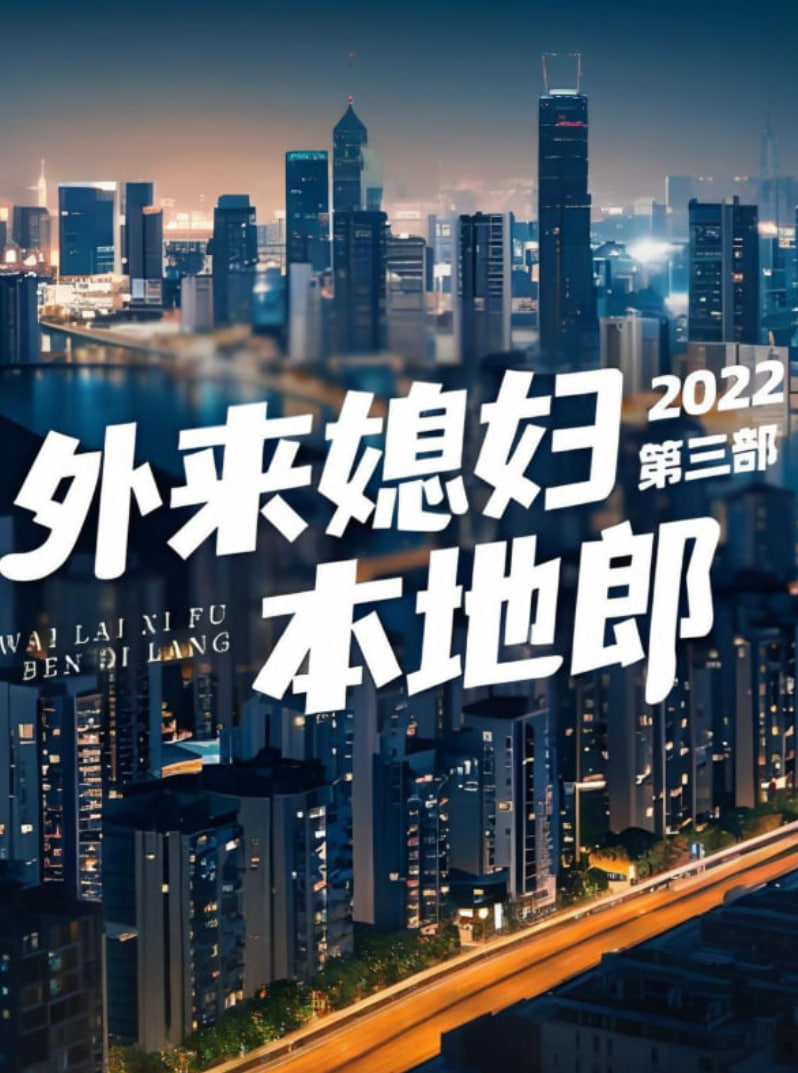 外来媳妇本地郎 第三部封面