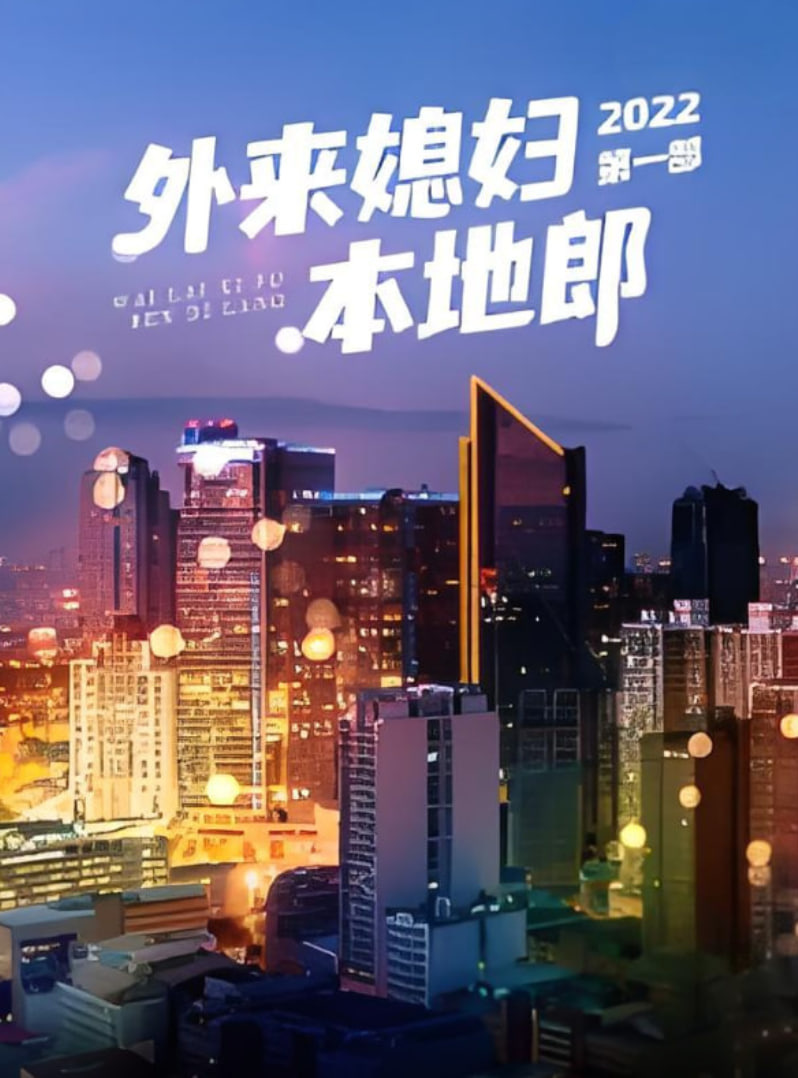 外来媳妇本地郎 第一部封面