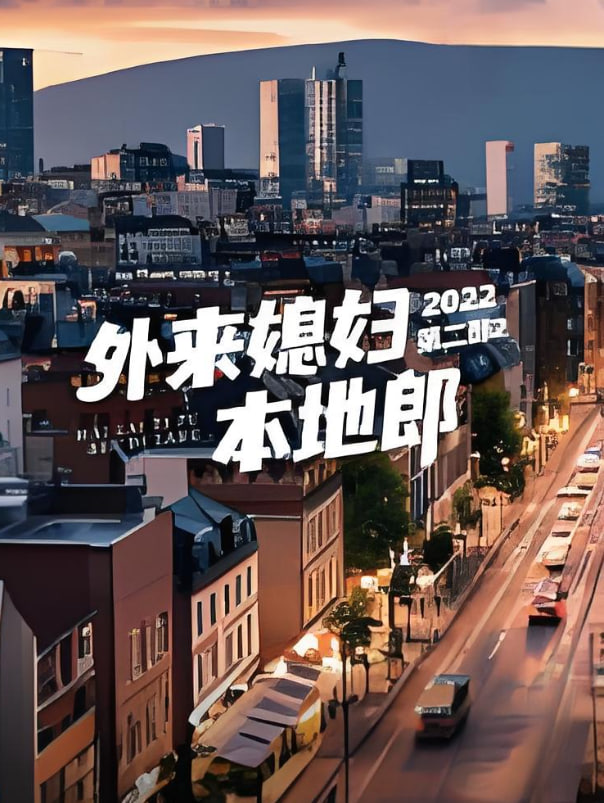 外来媳妇本地郎 第二部封面