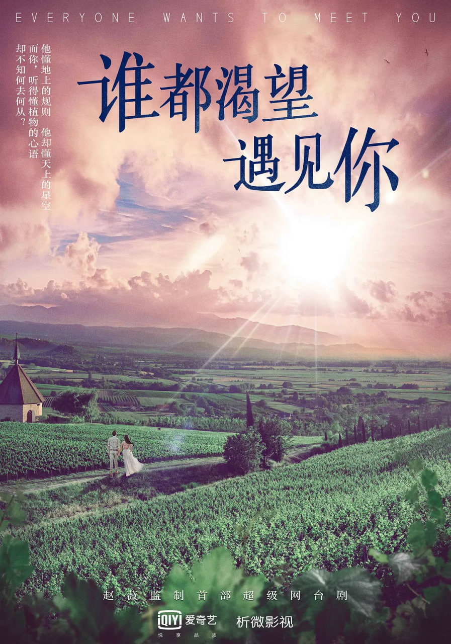 谁都渴望遇见你封面
