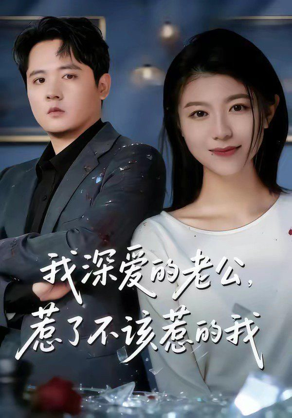 我深爱的老公，惹了不该惹的我封面