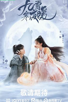 九霄寒夜暖封面