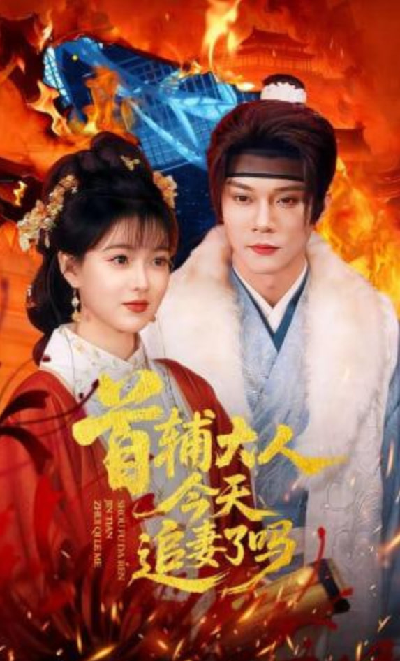 首辅大人今天追妻了吗封面