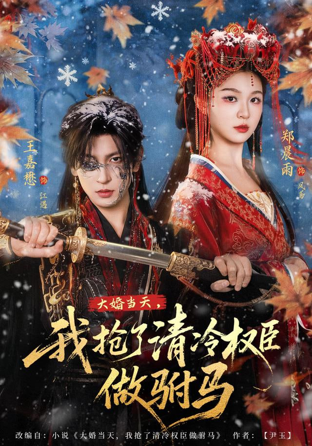 大婚当天，我抢了清冷权臣做驸马封面