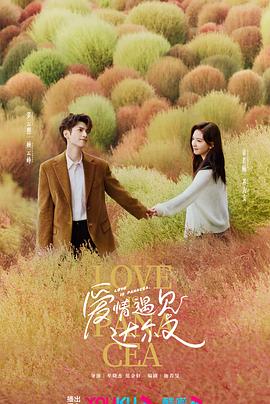 治愈系恋人封面
