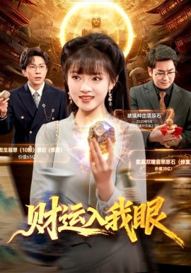 财运入我眼封面