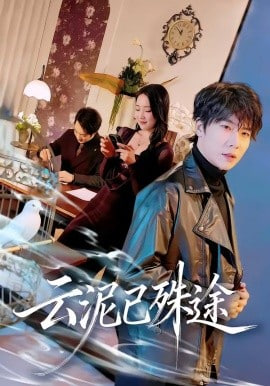 云泥已殊途封面