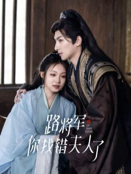 路将军你找错夫人了封面