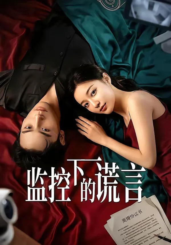监控下的谎言封面