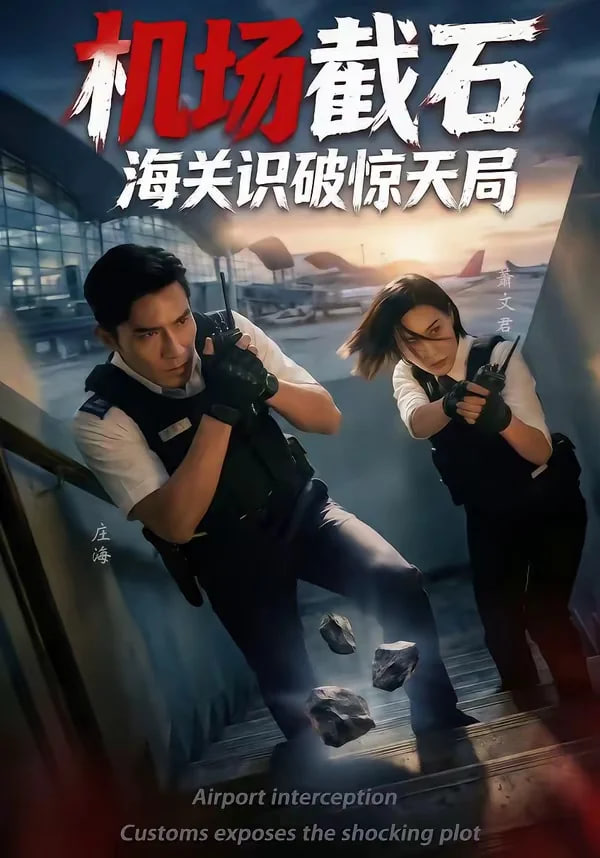 机场截石，海关识破惊天局封面