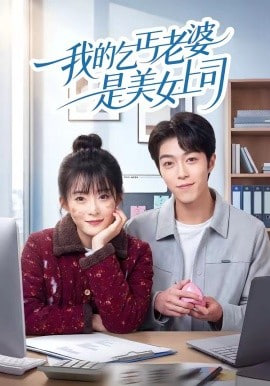 我的乞丐老婆是美女上司封面