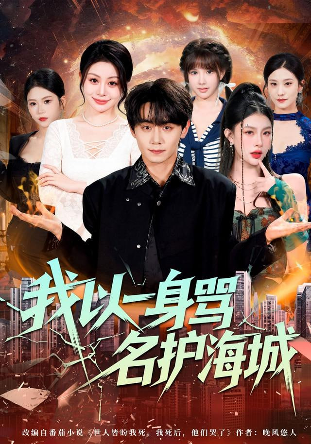 我以一身骂名护海城封面