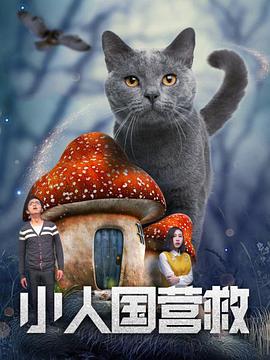 小人国营救封面