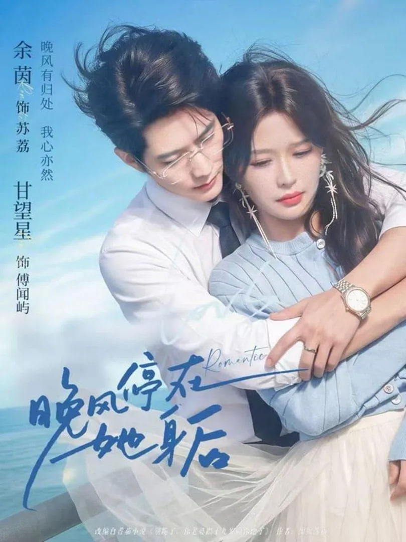 晚风停在她身后封面