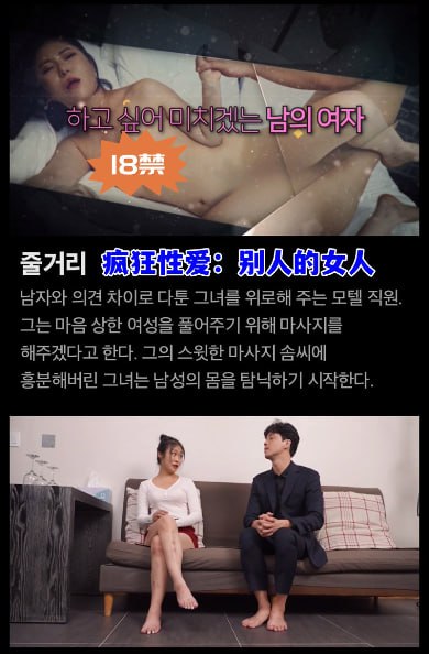 疯狂性爱：别人的女人封面