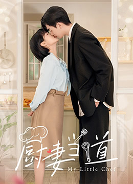 厨妻当道封面