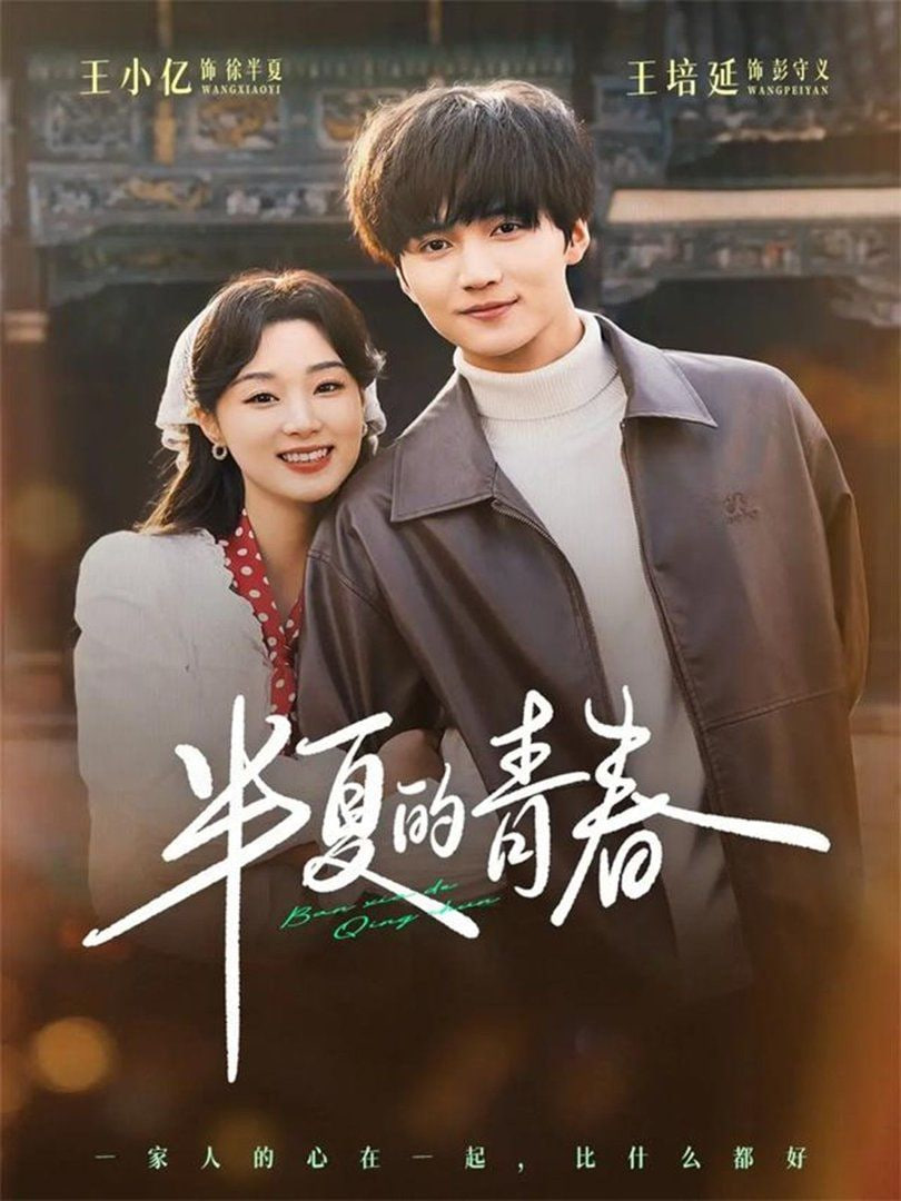 半夏的青春封面