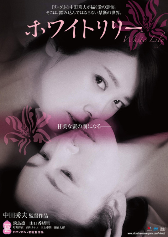 白百合封面