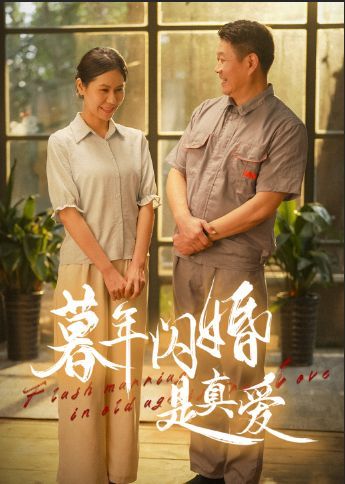 暮年闪婚是真爱封面