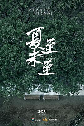 夏至未至封面