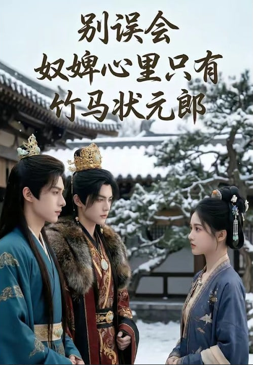 别误会，奴婢心里只有竹马状元郎封面