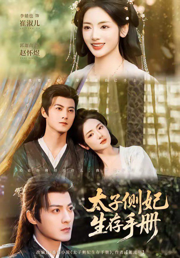 太子侧妃生存手册封面