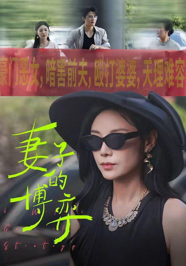 妻子的博弈封面