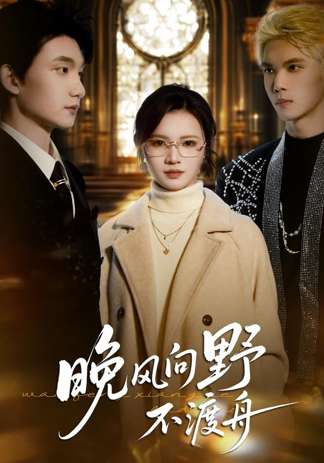 晚风向野不渡舟封面
