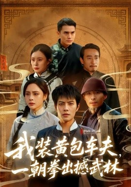 我装黄包车夫，一朝拳出撼武林封面