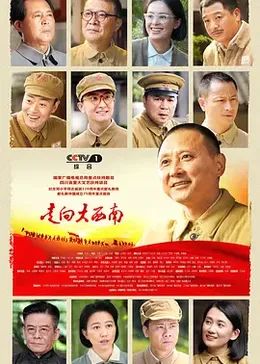 走向大西南封面