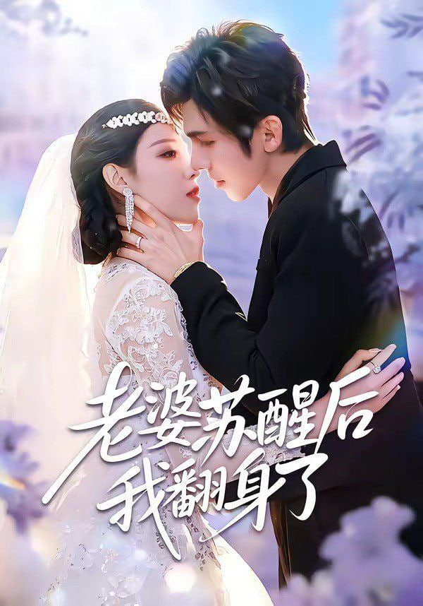 老婆苏醒后我翻身了封面