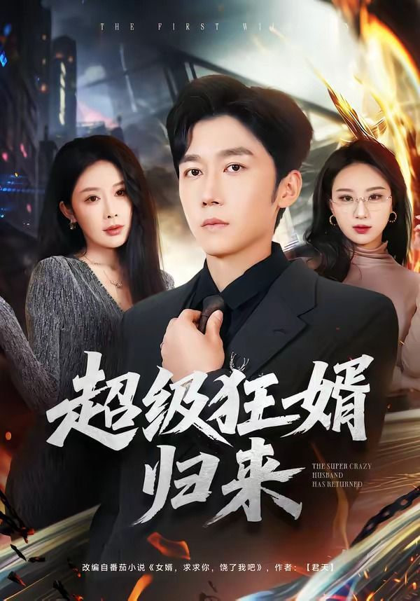 超级狂婿归来封面