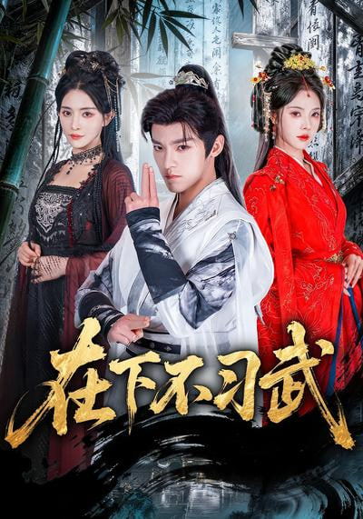 在下不习武封面
