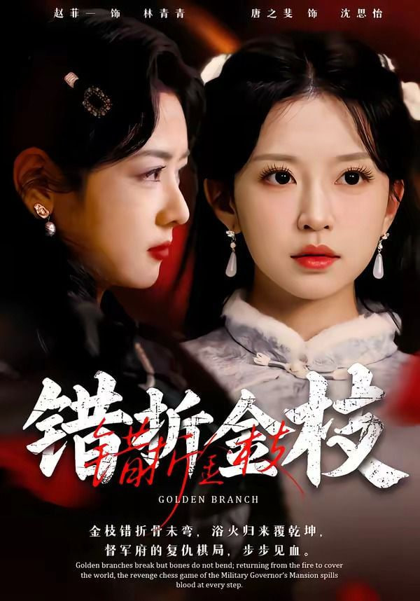 错折金枝封面
