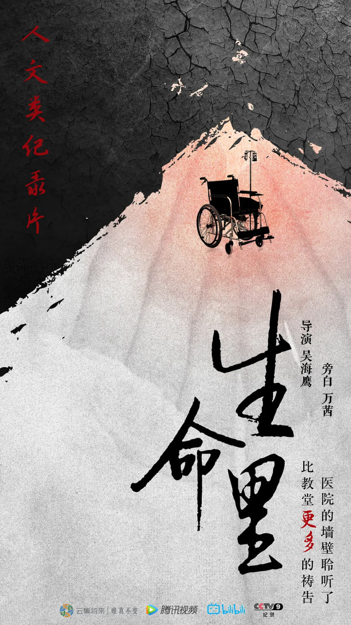 生命里封面