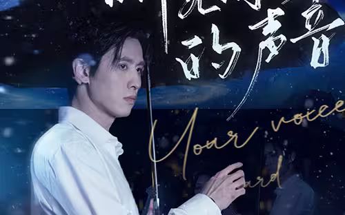 听见你的声音封面