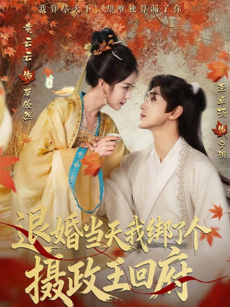 退婚当天我绑了个摄政王回府封面