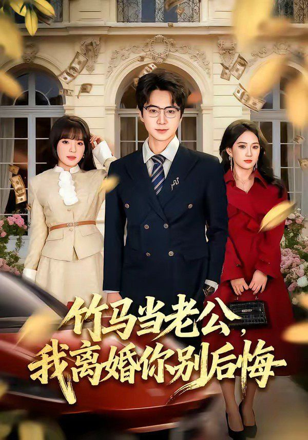 竹马当老公，我离婚你别后悔封面