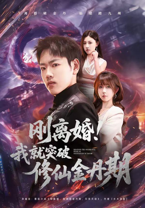 刚离婚！我就突破修仙金丹期封面