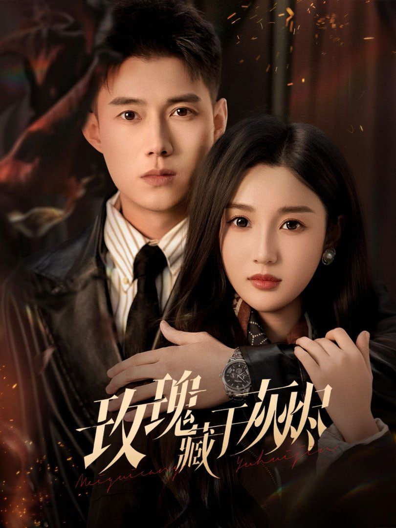 玫瑰藏于灰烬封面