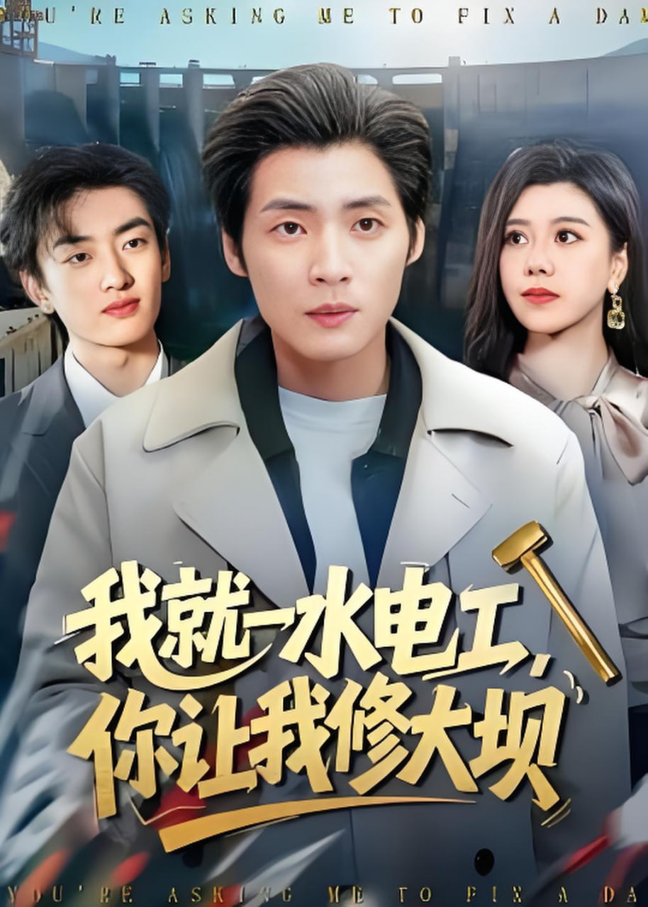 我就一水电工，你让我修大坝封面