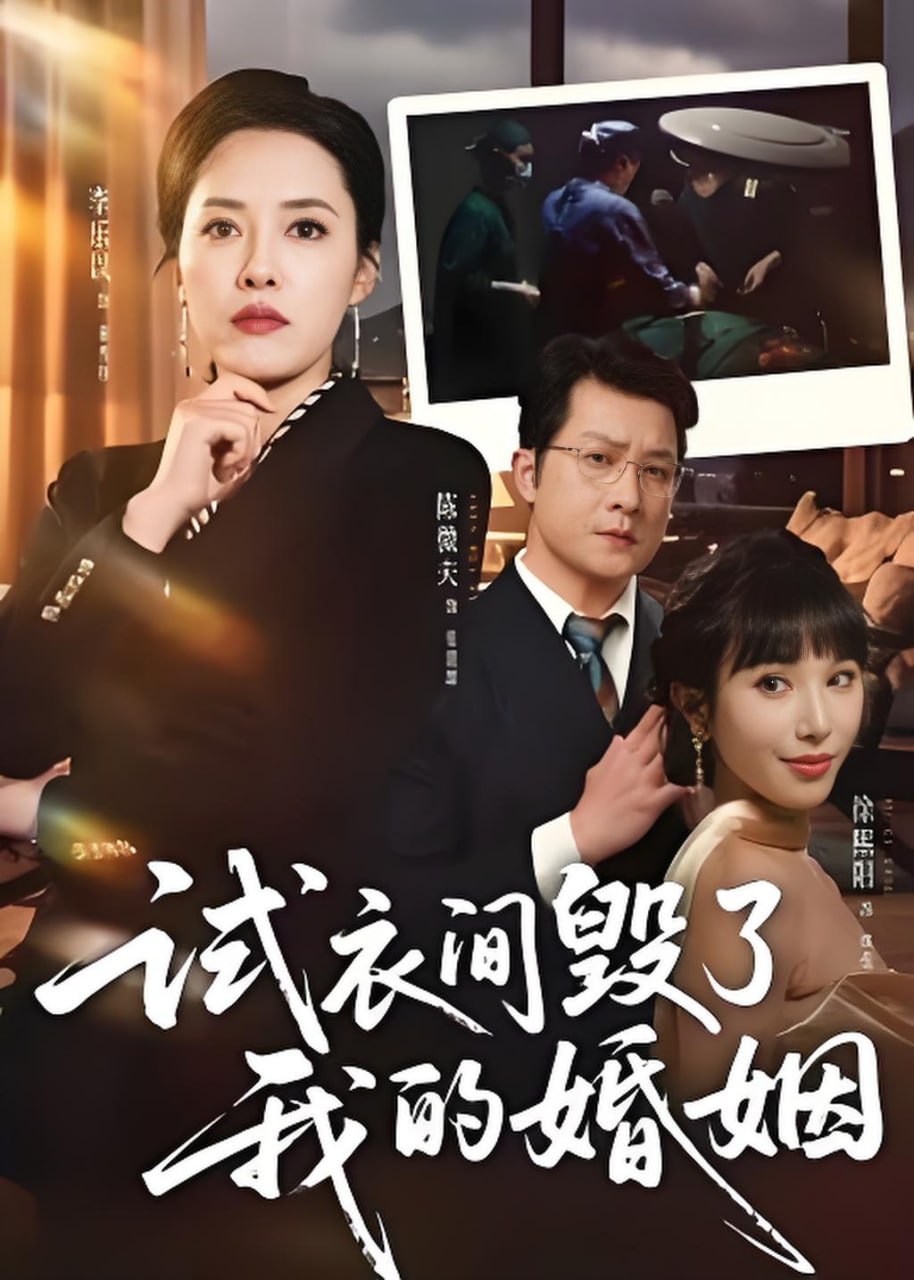试衣间毁了我的婚姻封面