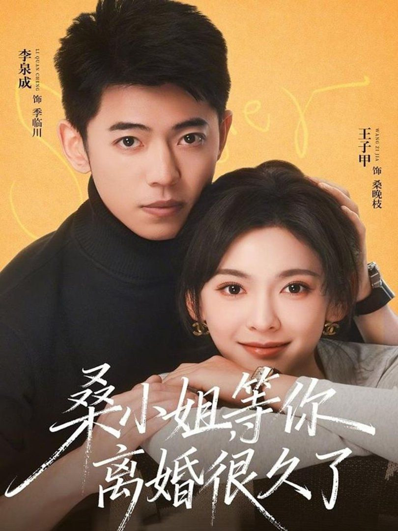 桑小姐，等你离婚很久了封面