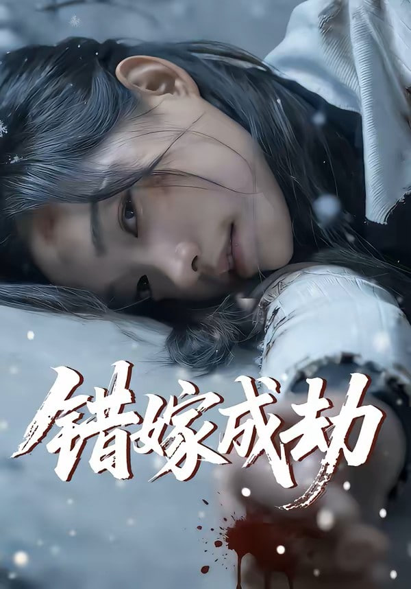 错嫁成劫封面