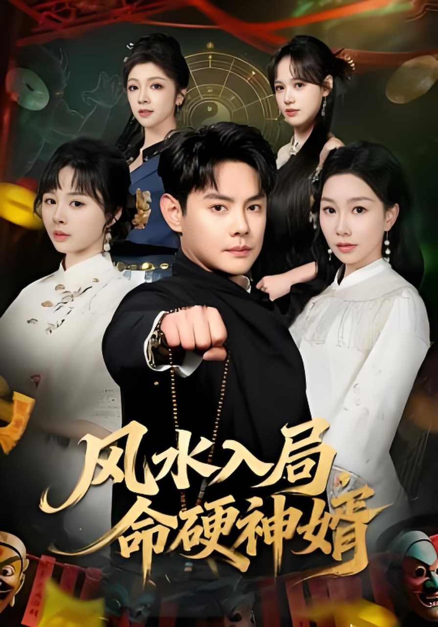 风水入局，命硬神婿封面