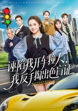 诬陷我开车撞人，我反手掏出色盲证封面